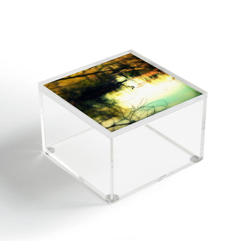 Krista Glavich Goose Acrylic Box