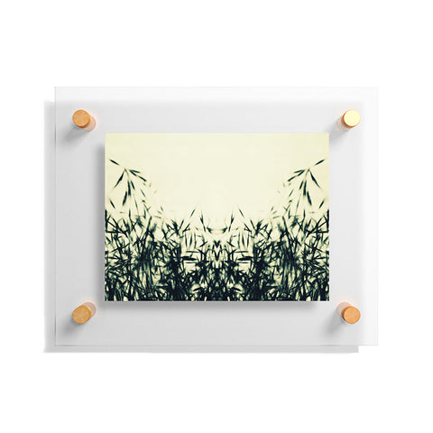 Krista Glavich Grasses Floating Acrylic Print