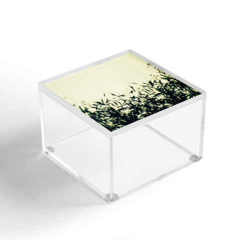 Krista Glavich Grasses Acrylic Box