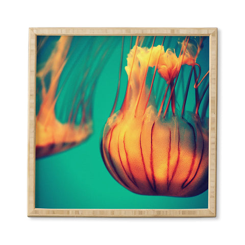 Krista Glavich Jellyfish 12 Framed Wall Art