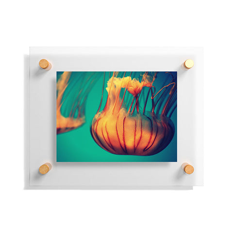 Krista Glavich Jellyfish 12 Floating Acrylic Print