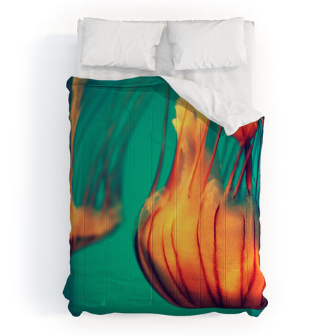 Krista Glavich Jellyfish 12 Comforter
