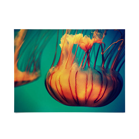 Krista Glavich Jellyfish 12 Poster