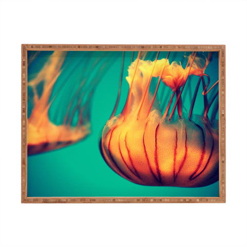Krista Glavich Jellyfish 12 Rectangular Tray