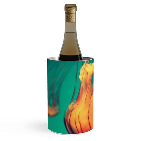 Krista Glavich Jellyfish 12 Wine Chiller