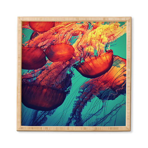 Krista Glavich Jellyfish 7 Framed Wall Art