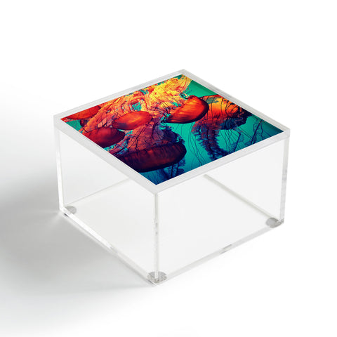 Krista Glavich Jellyfish 7 Acrylic Box