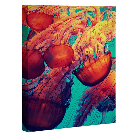 Krista Glavich Jellyfish 7 Art Canvas