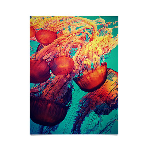 Krista Glavich Jellyfish 7 Poster