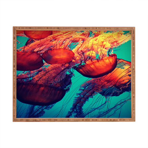 Krista Glavich Jellyfish 7 Rectangular Tray