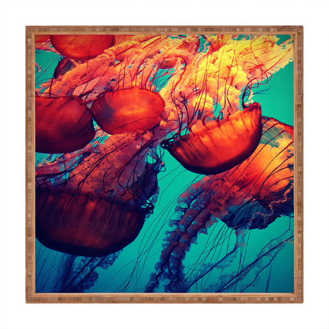 Krista Glavich Jellyfish 7 Square Tray