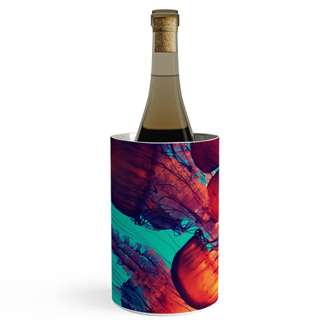 Krista Glavich Jellyfish 7 Wine Chiller