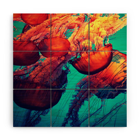Krista Glavich Jellyfish 7 Wood Wall Mural