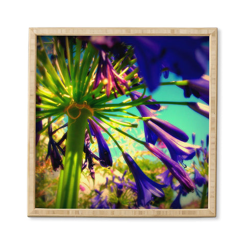 Krista Glavich Lily of the Nile Framed Wall Art