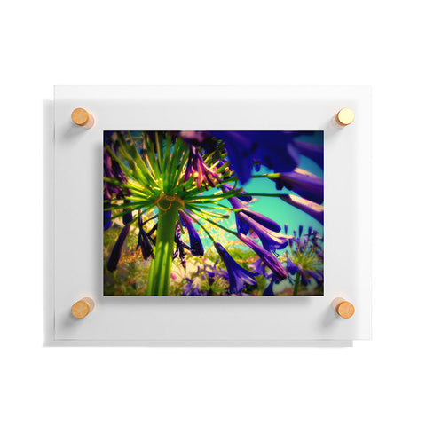 Krista Glavich Lily of the Nile Floating Acrylic Print