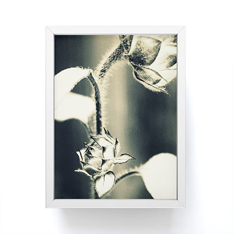 Krista Glavich November Sunflower Framed Mini Art Print