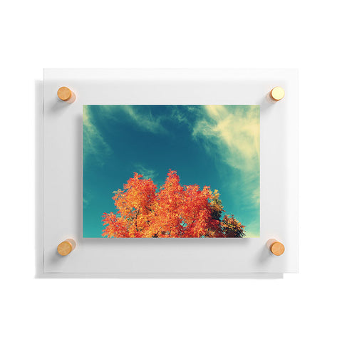 Krista Glavich Perfect Fall Floating Acrylic Print