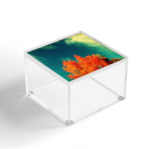 Krista Glavich Perfect Fall Acrylic Box