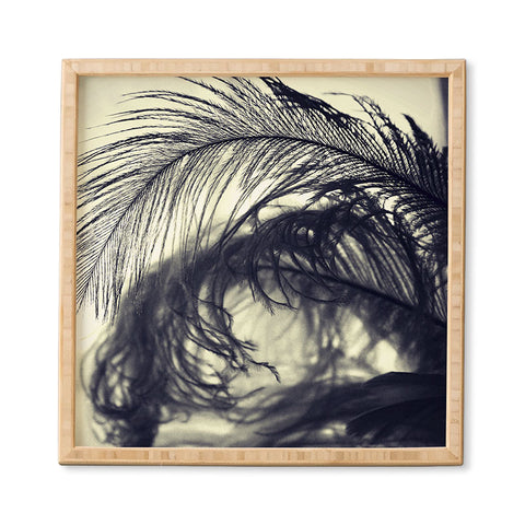 Krista Glavich Plumes Framed Wall Art