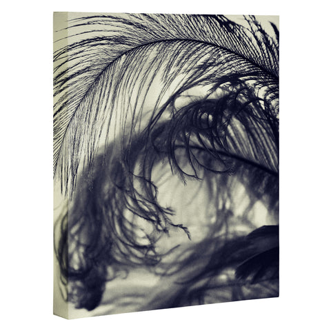 Krista Glavich Plumes Art Canvas