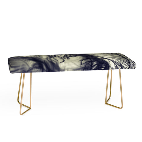 Krista Glavich Plumes Bench