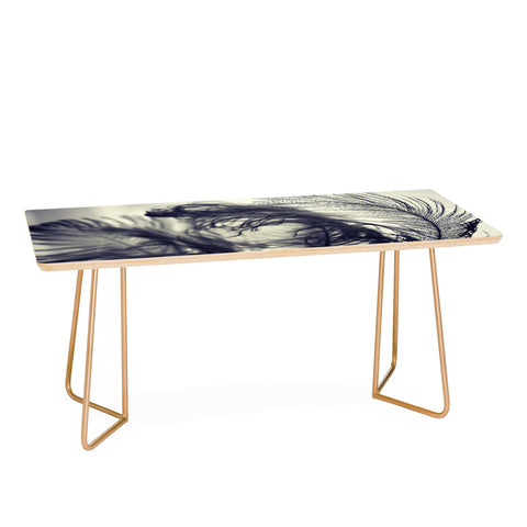 Krista Glavich Plumes Coffee Table