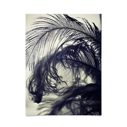 Krista Glavich Plumes Poster