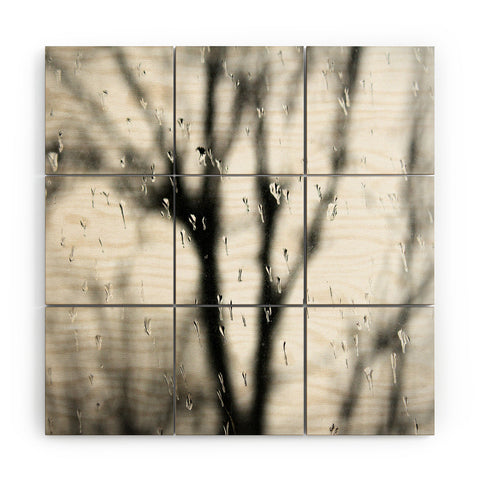 Krista Glavich Rainy Window Wood Wall Mural