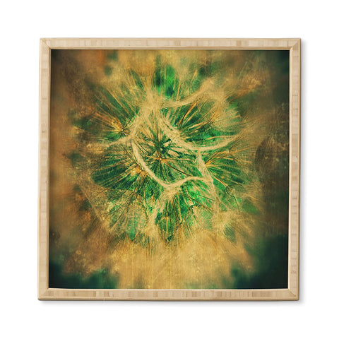 Krista Glavich Salsify Framed Wall Art