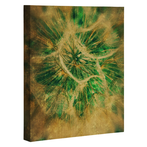 Krista Glavich Salsify Art Canvas