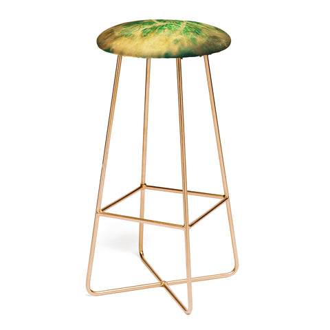 Krista Glavich Salsify Bar Stool