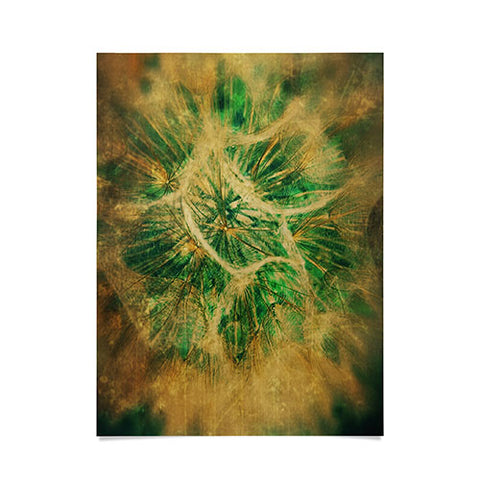 Krista Glavich Salsify Poster