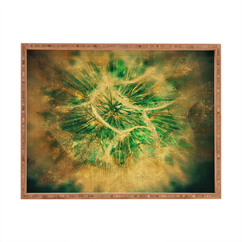 Krista Glavich Salsify Rectangular Tray