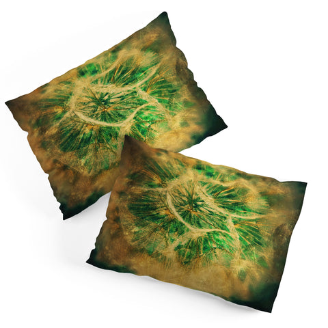 Krista Glavich Salsify Pillow Shams