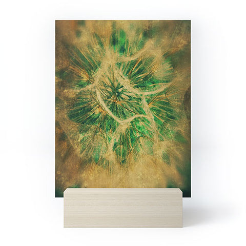 Krista Glavich Salsify Mini Art Print