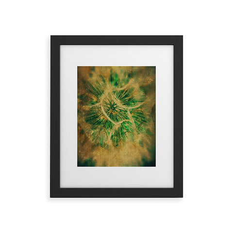 Krista Glavich Salsify Framed Art Print