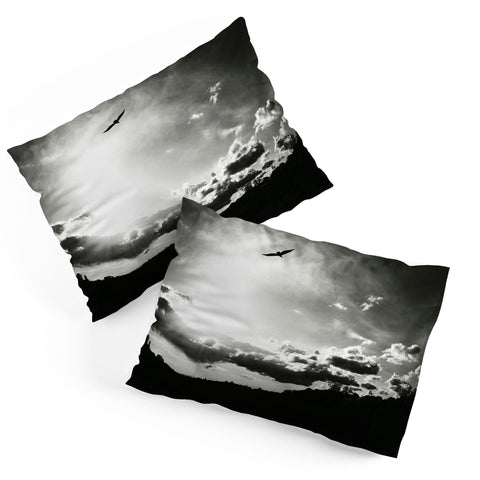 Krista Glavich Vulture Sunset Pillow Shams