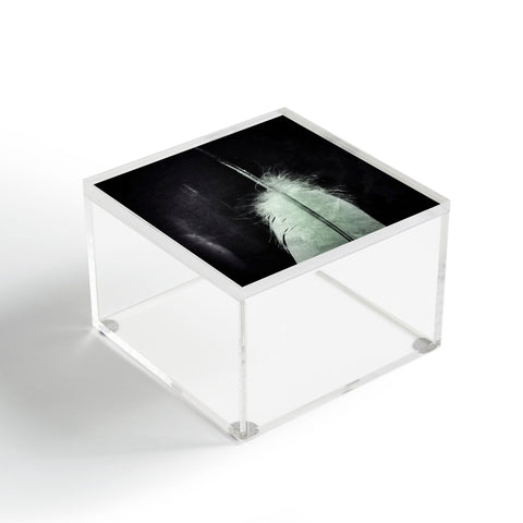 Krista Glavich White Feather Acrylic Box