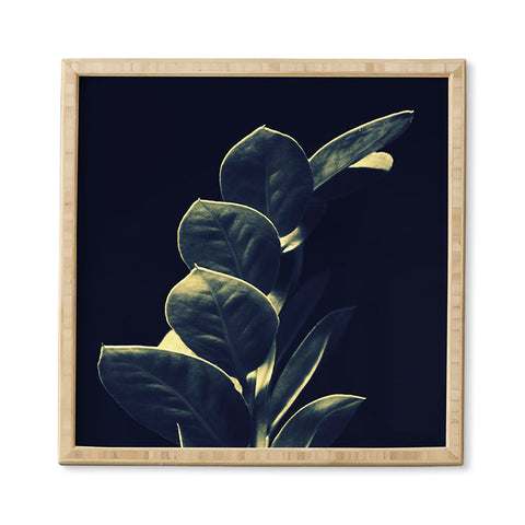 Krista Glavich Zamioculcas Framed Wall Art