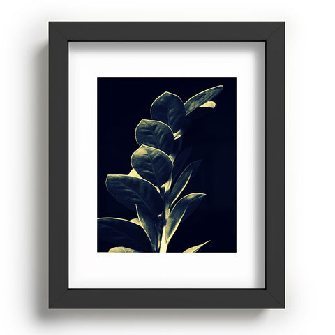 Krista Glavich Zamioculcas Recessed Framing Rectangle