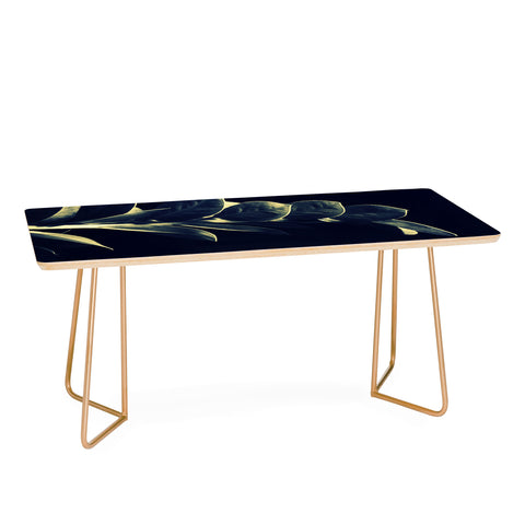 Krista Glavich Zamioculcas Coffee Table