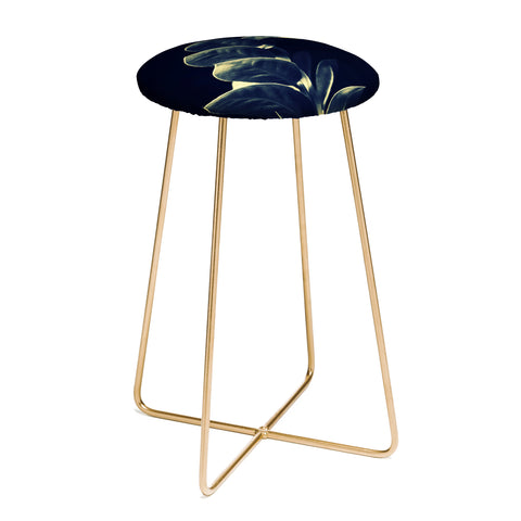 Krista Glavich Zamioculcas Counter Stool