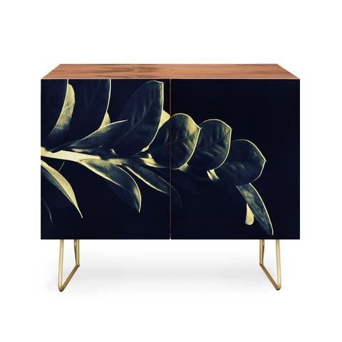 Krista Glavich Zamioculcas Credenza