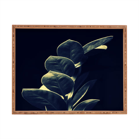 Krista Glavich Zamioculcas Rectangular Tray