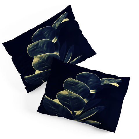 Krista Glavich Zamioculcas Pillow Shams
