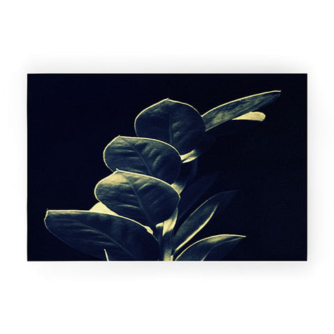 Krista Glavich Zamioculcas Welcome Mat