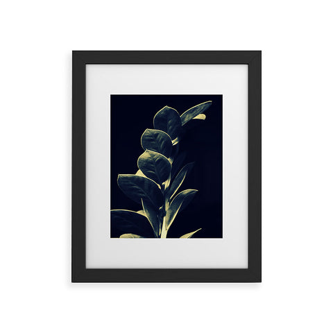 Krista Glavich Zamioculcas Framed Art Print