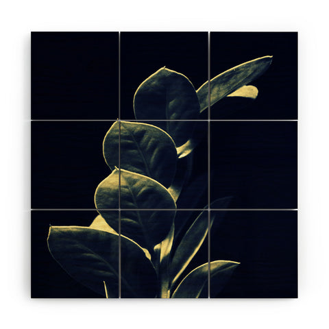 Krista Glavich Zamioculcas Wood Wall Mural