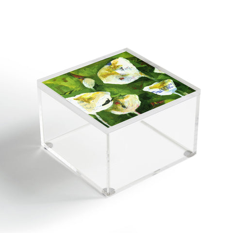 Land Of Lulu Hidden Fortunes Acrylic Box