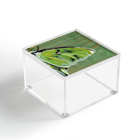 Land Of Lulu Luna Moth Acrylic Box